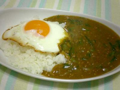 ほうれん草カレー