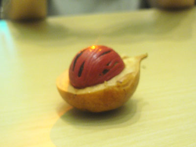 殻を割ったナツメグ